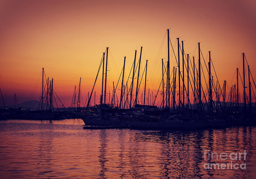 Sailboat harbor on sunset Photograph by Anna Om
