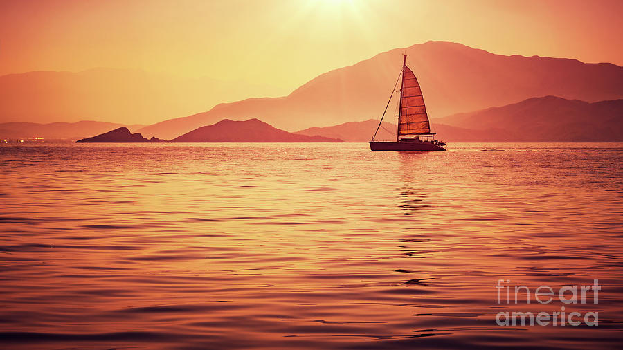 Sailboat in beautiful sunset light Photograph by Anna Om