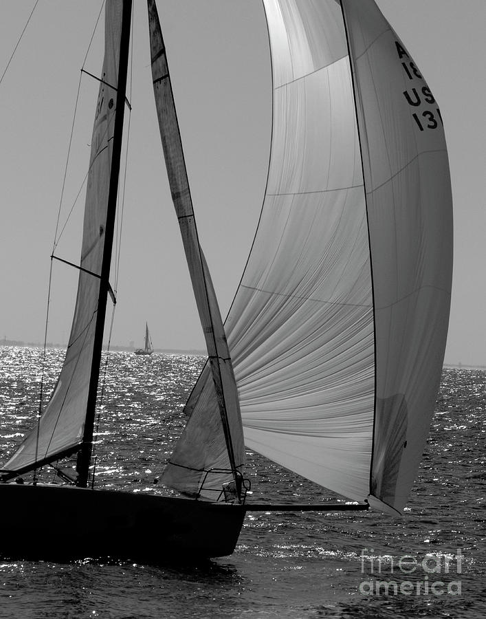 Sailboat in Black and White Photograph by Robert Suggs