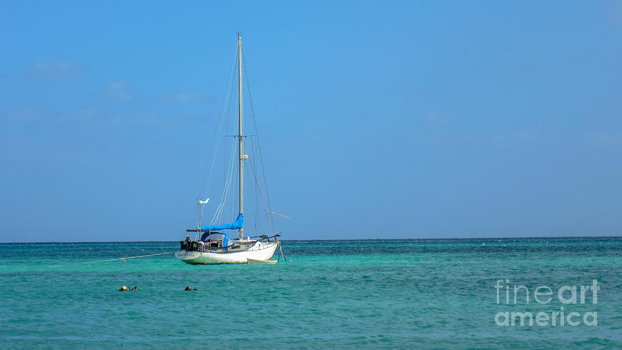 Sailboat in Blue Photograph by Cheryl Baxter