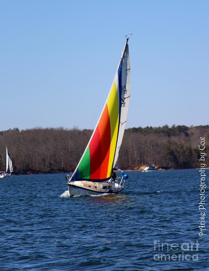 Atlanta Photograph - Sailboat in living color by Charlene Cox
