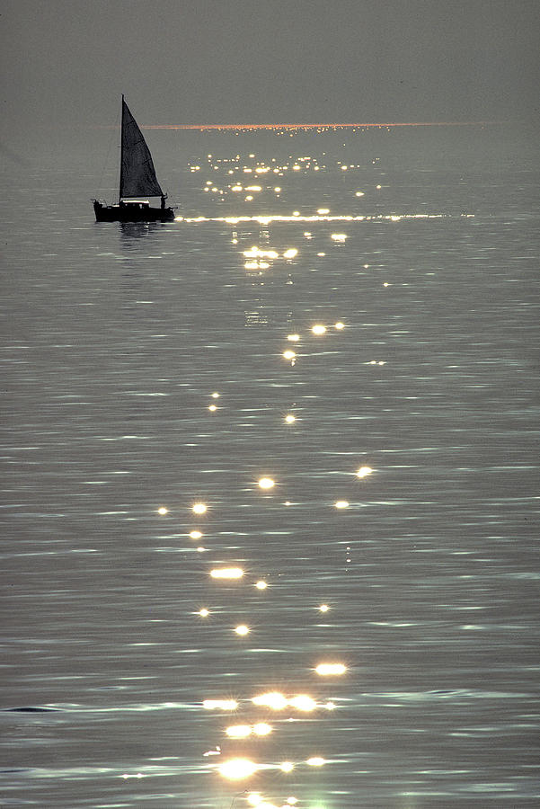 Sailboat Photograph - Sailboat in Moonlight at Catalina by Carl Purcell