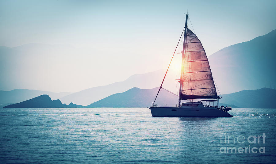 Sailboat in the sea Photograph by Anna Om
