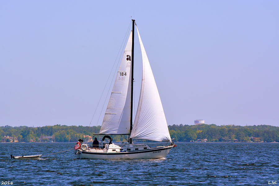 Sailboat  Photograph by Lisa Wooten