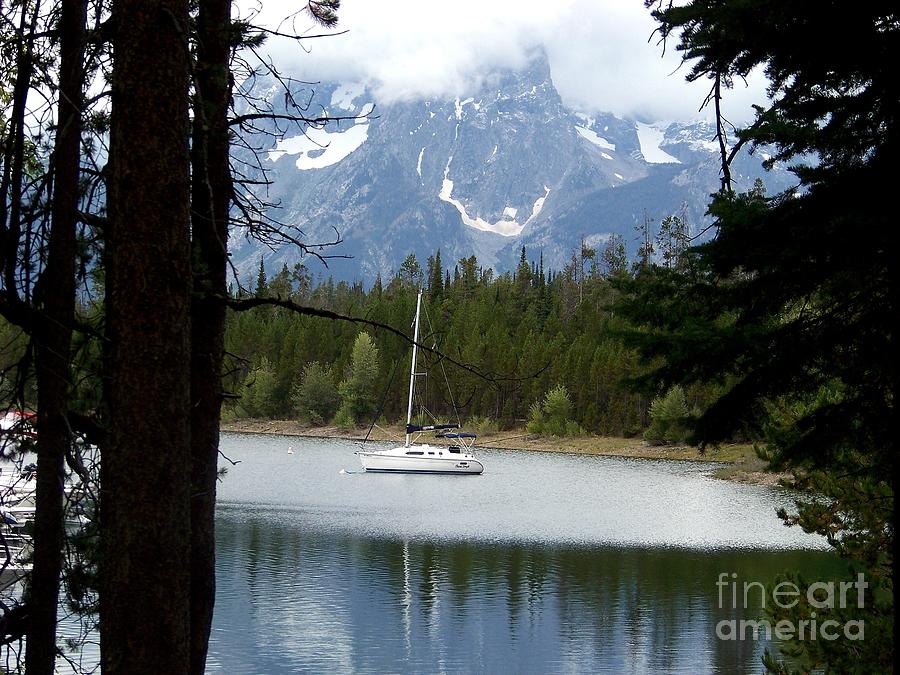 Sailboat on Colter Bay Photograph by Charles Robinson