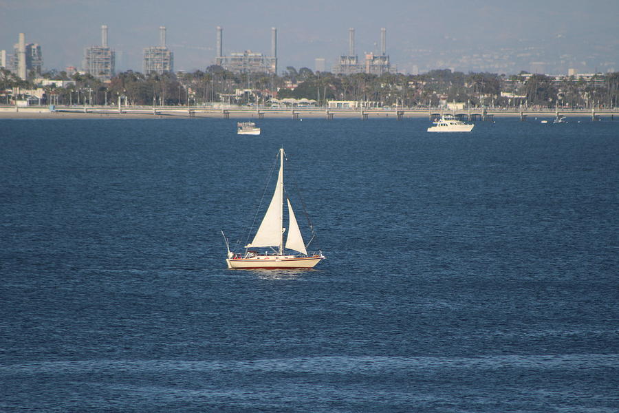 Sailboat on the Pacific in Long Beach Photograph by Colleen Cornelius