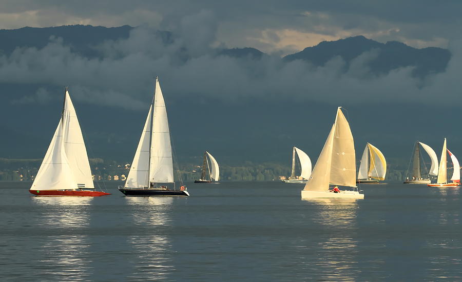 Sailboat race by sunset Photograph by Elenarts - Elena Duvernay photo