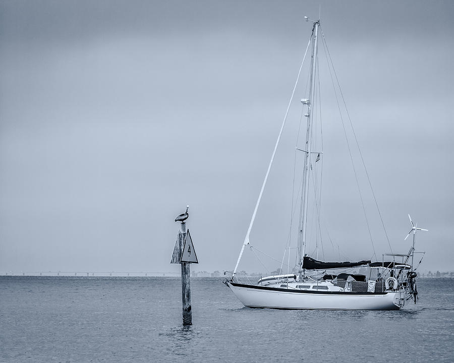 Sailboat Photograph by Ron Pate