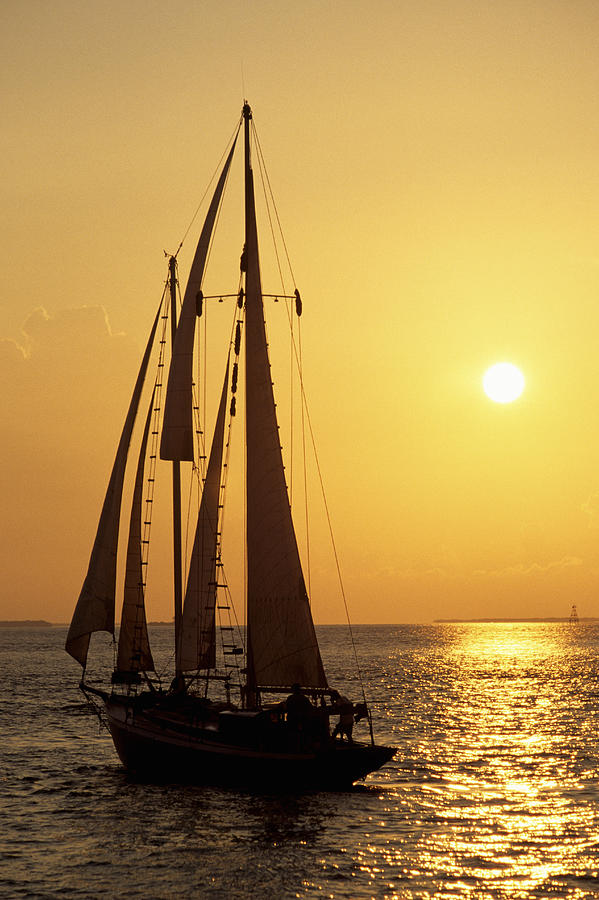 sunset sailboat miami