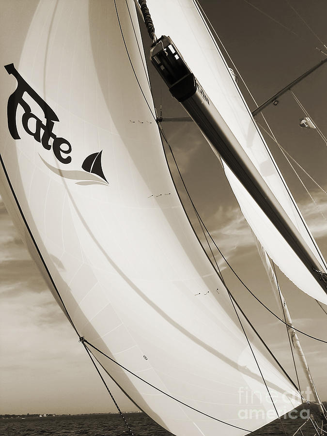 Boat Photograph - Sailboat Sails and Spinnaker Fate Beneteau 49 Charelston SC by Dustin K Ryan