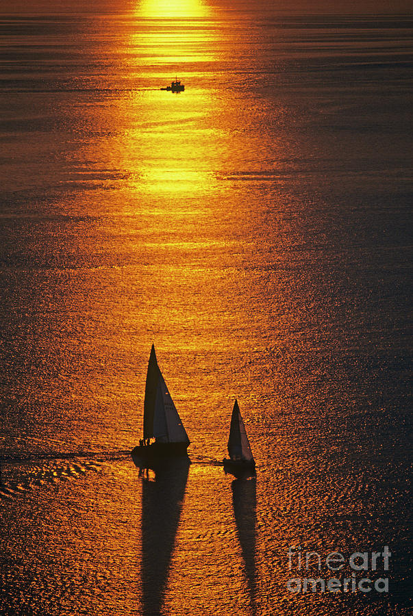 Sailboat Silhouetted at Sunset on Puget Sound  Photograph by Jim Corwin