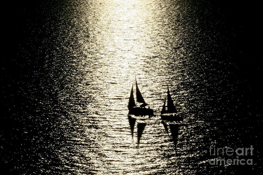 Sailboat Silhouettes on Tampa Bay Photograph by Robert Wilder Jr
