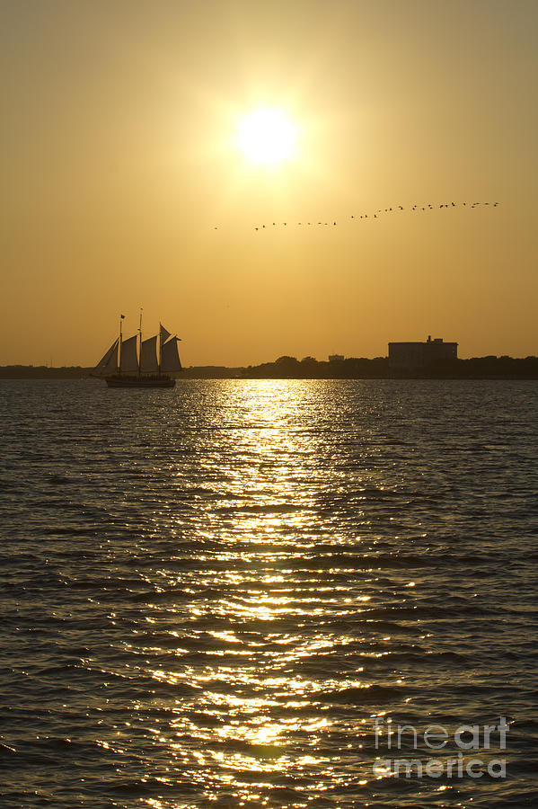 Sailboat Sunset on the Charleston Harbor Photograph by Dustin K Ryan