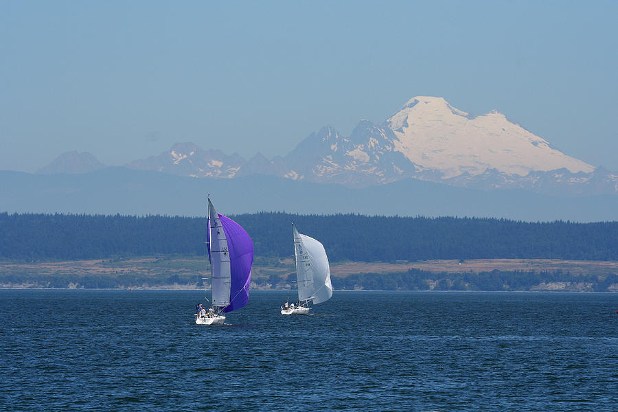 Sailboats and Mt. Baker BO1090 Photograph by Mary Gaines