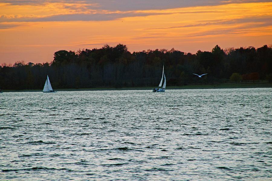 Sailboats and Orange Skies Photograph by Mike Murdock