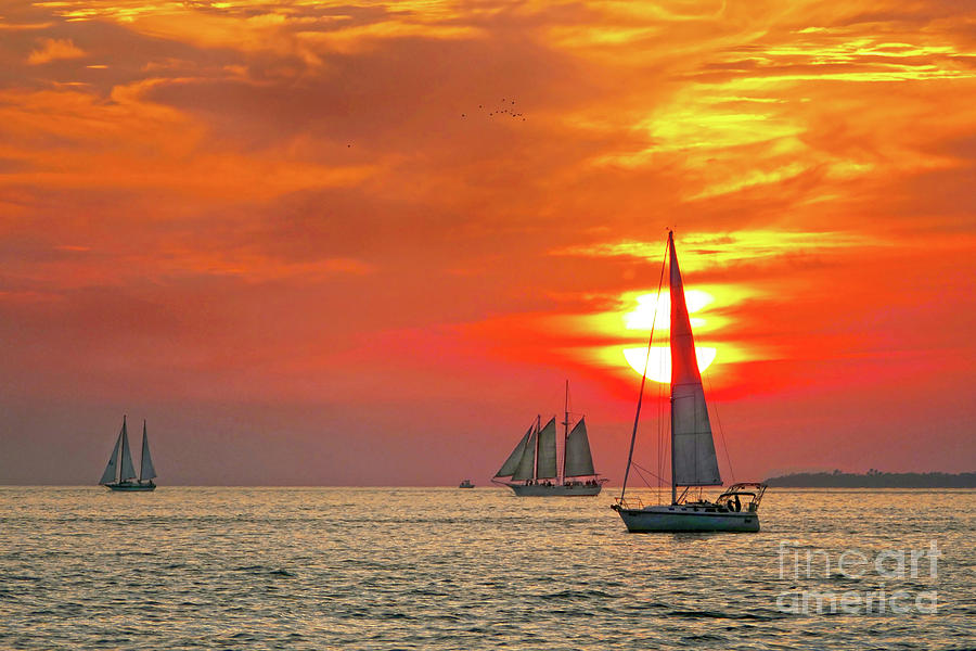 Sailboats At Key West Sunset Photograph