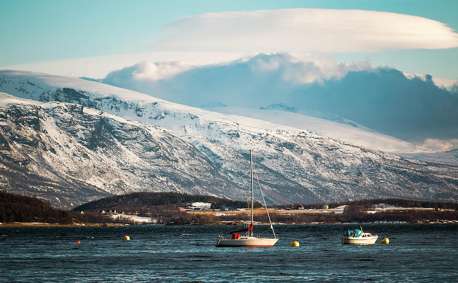 Sailboats at Lyngseidet Norway Photograph by Adam Rainoff