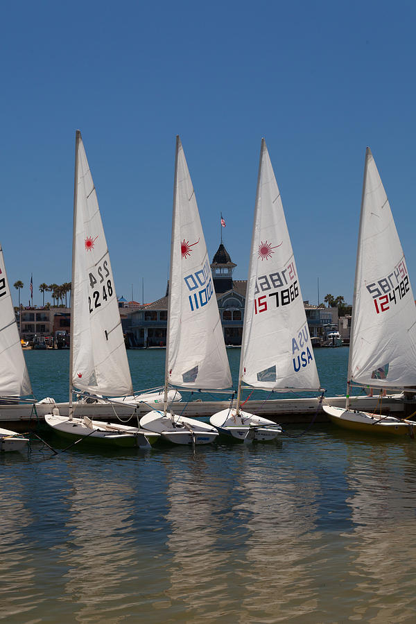 Sailboats at Newport Beach Photograph by Cliff Wassmann