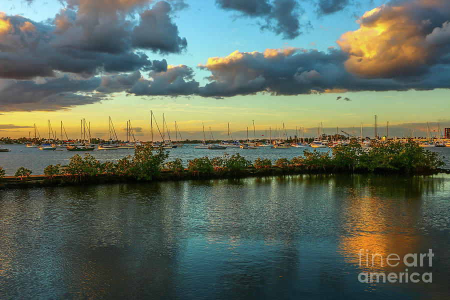 Sailboats at Shepards Park Photograph by Tom Claud