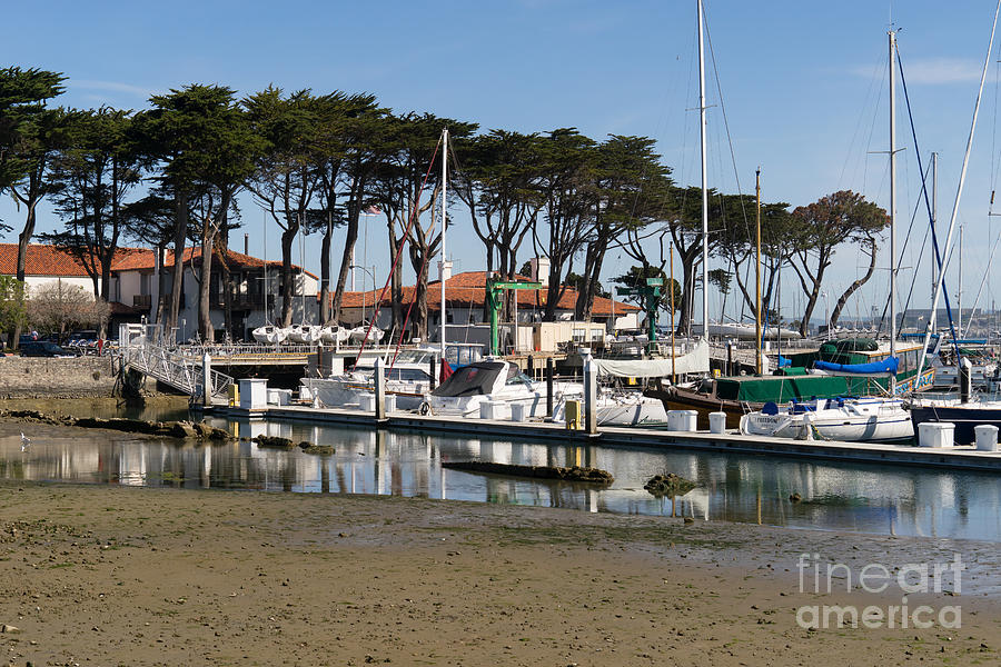 Sailboats At St Francis Yacht Club Harbor San Francisco California DSC3097 Photograph by Wingsdomain Art and Photography