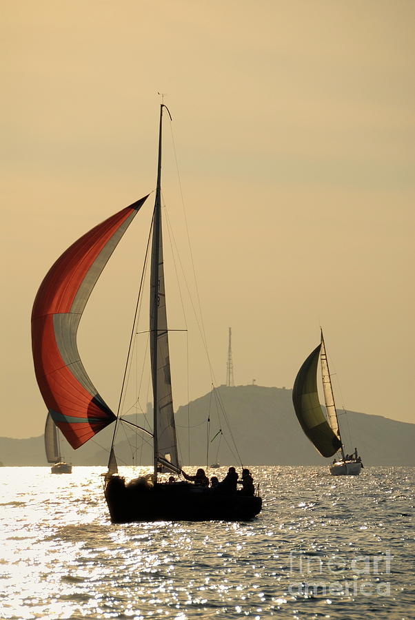 Boat Photograph - Sailboats at sunset navigating by Sami Sarkis