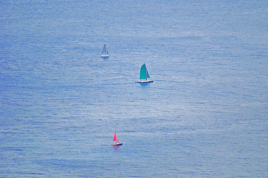 Sailboats Photograph by Carol Eliassen