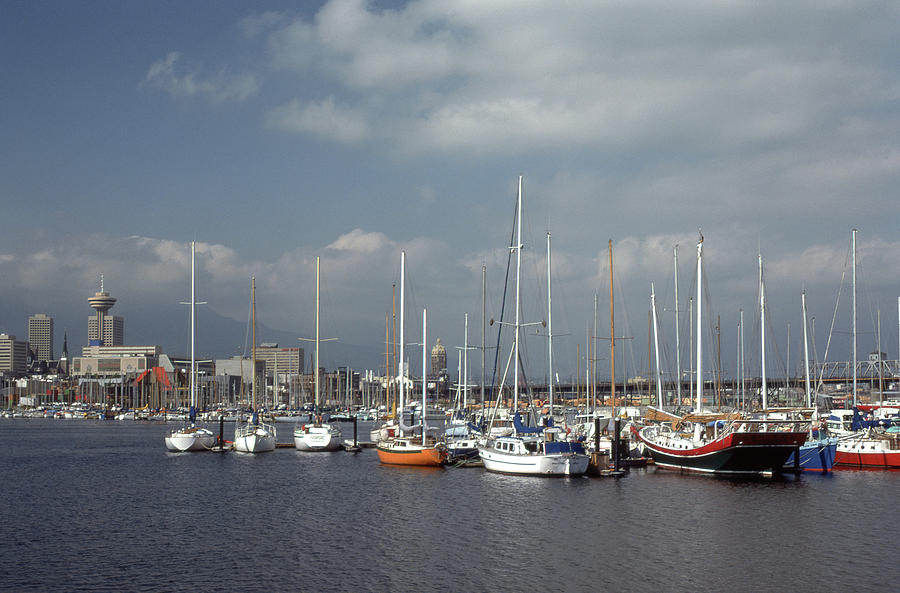 Sailboats In A Marina Photograph by Lyle Crump