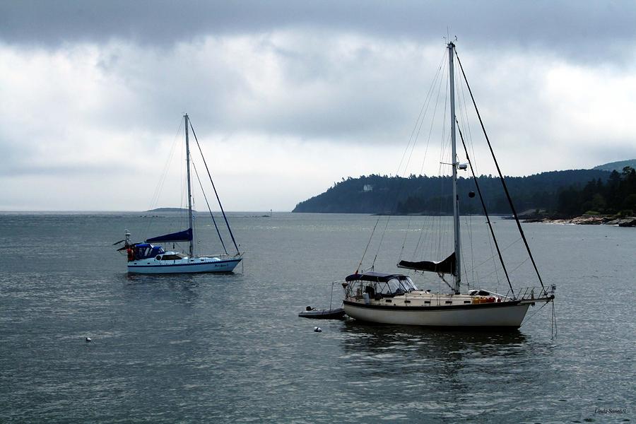 Sailboats in Bar Harbor Photograph by Linda Sannuti