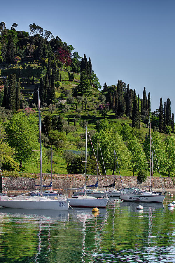 Sailboats In Bellagio Photograph
