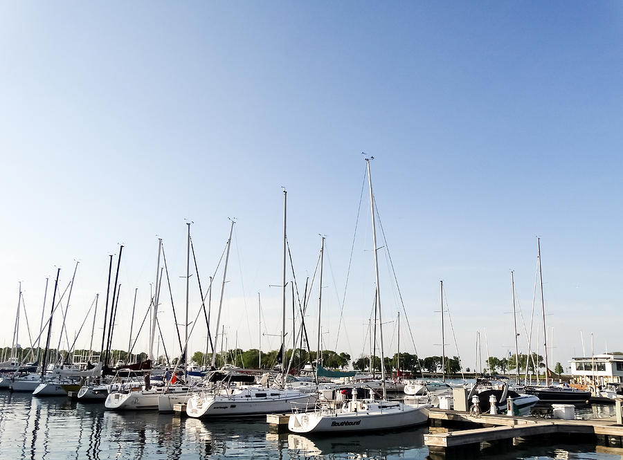 sailboats in chicago