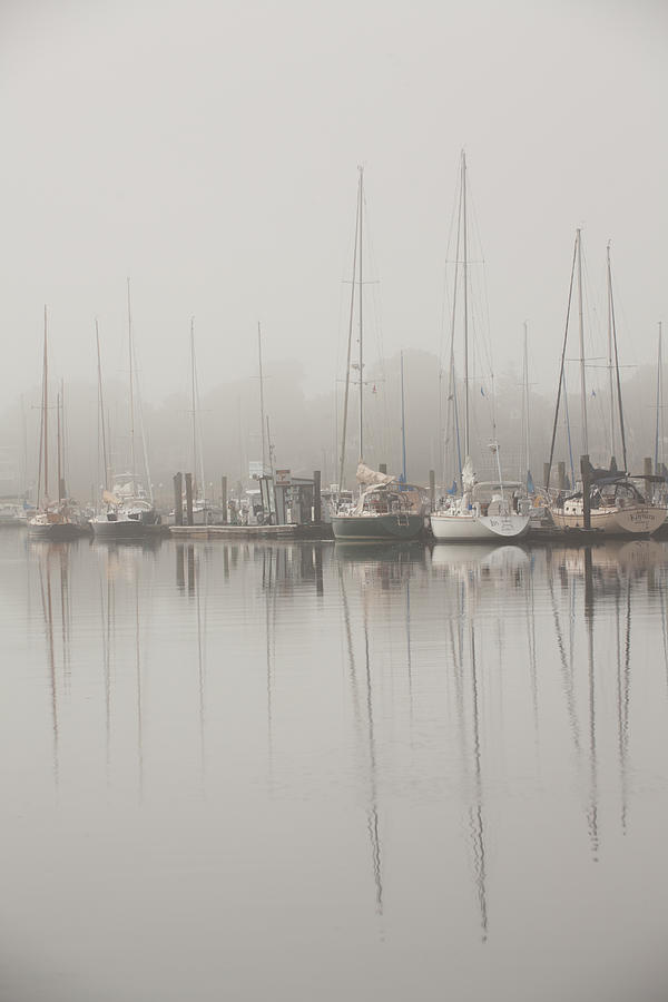 Sailboats In Stillness Photograph by Karol Livote