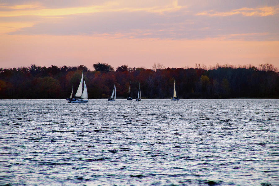 Sailboats in the Evening Photograph by Mike Murdock