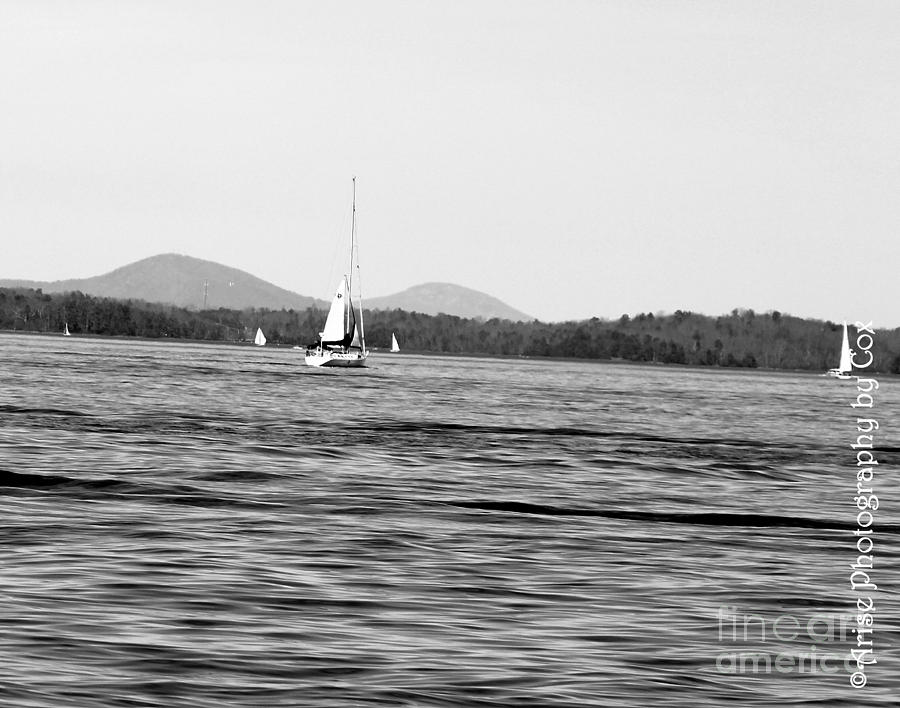 sailboats lake lanier