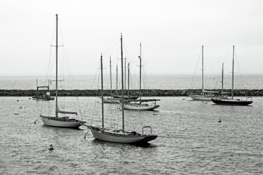 Sailboats, Marthas Vineyard Photograph by Brooke T Ryan
