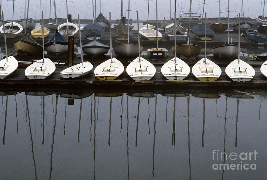 Sailboats On Dock Sunrise Photograph