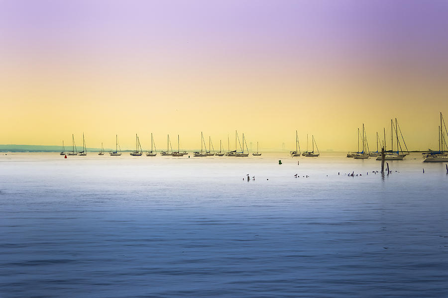 Sailboats on the Bay Photograph by Colleen Kammerer
