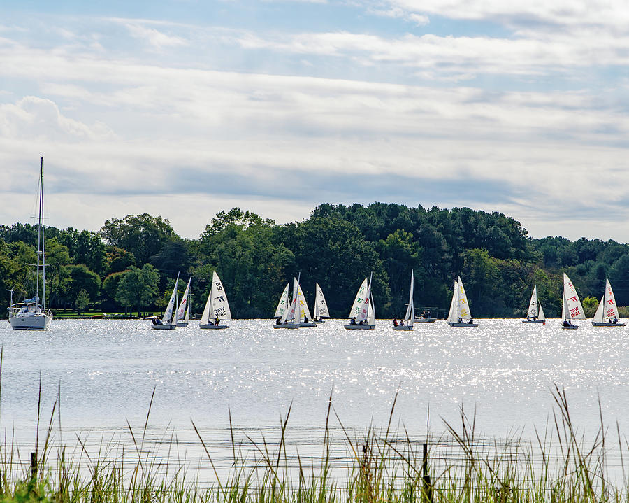 sailboats in chester
