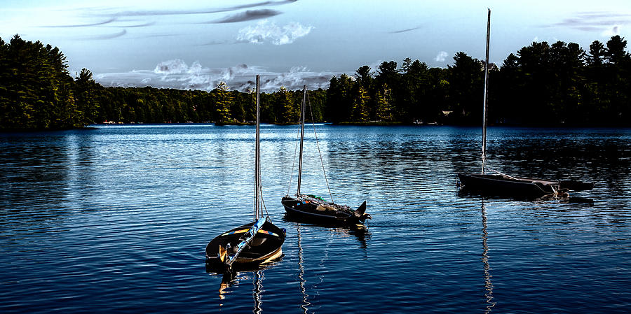 Nature Photograph - Sailboats on the Lake by David Patterson