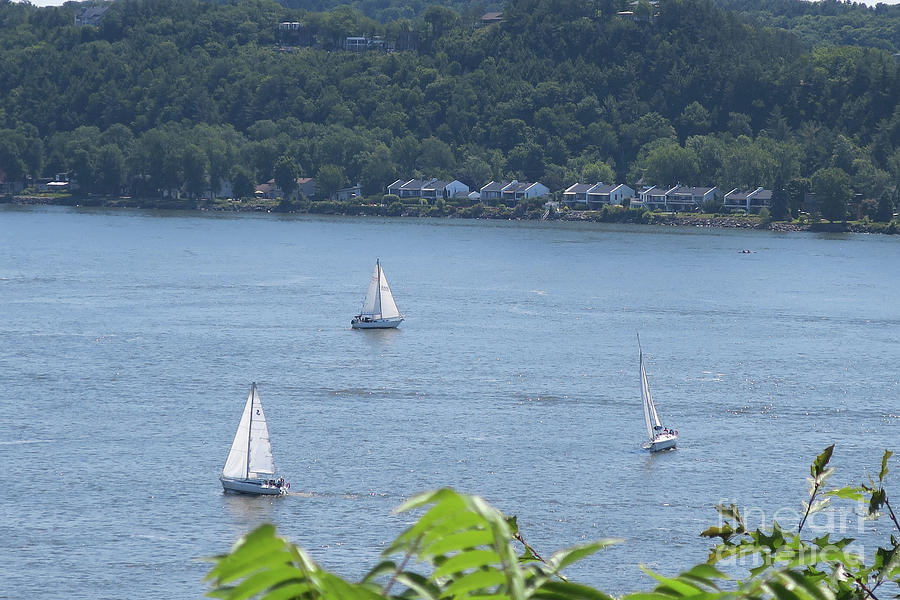 Sailboats on the St. Lawrence River Photograph by Brandy Woods