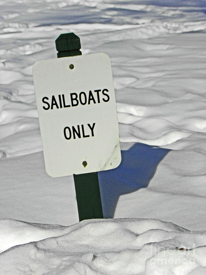 Sailboats Only Photograph by Elizabeth Hoskinson