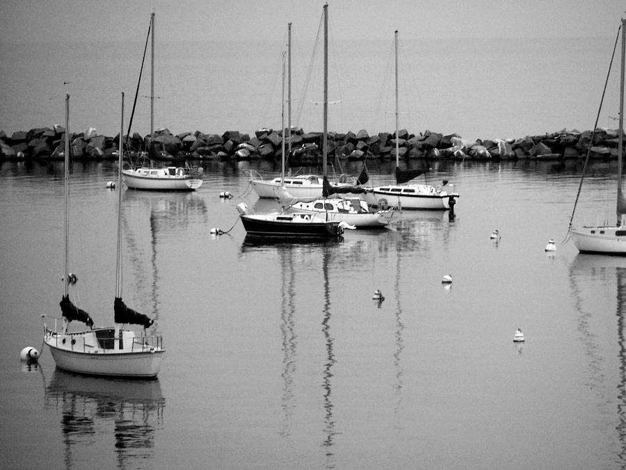 Lake Michigan Photograph - Sailboats resting b-w by Anita Burgermeister