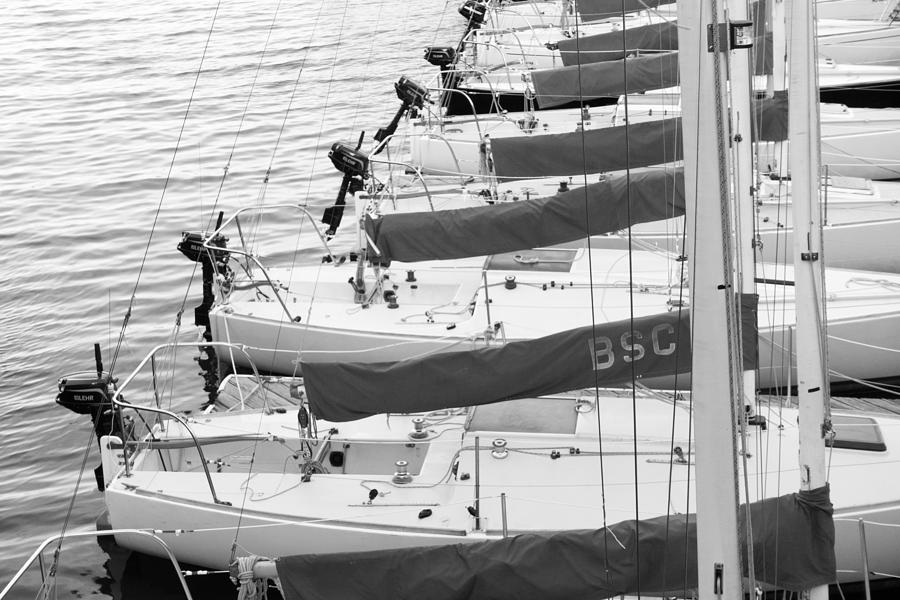 Sailboats Photograph by SR Green