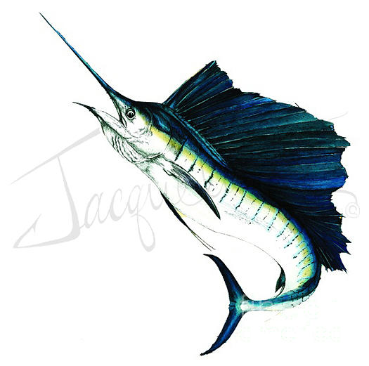 Sailfish Jumping Mixed Media by Jacqueline Thomas - Fine Art America