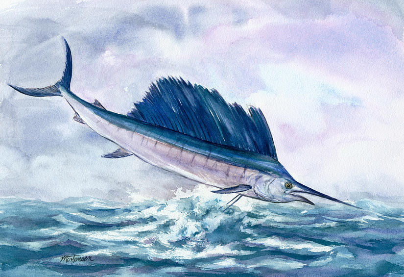 Sailfish Painting by Mark Mortensen - Fine Art America