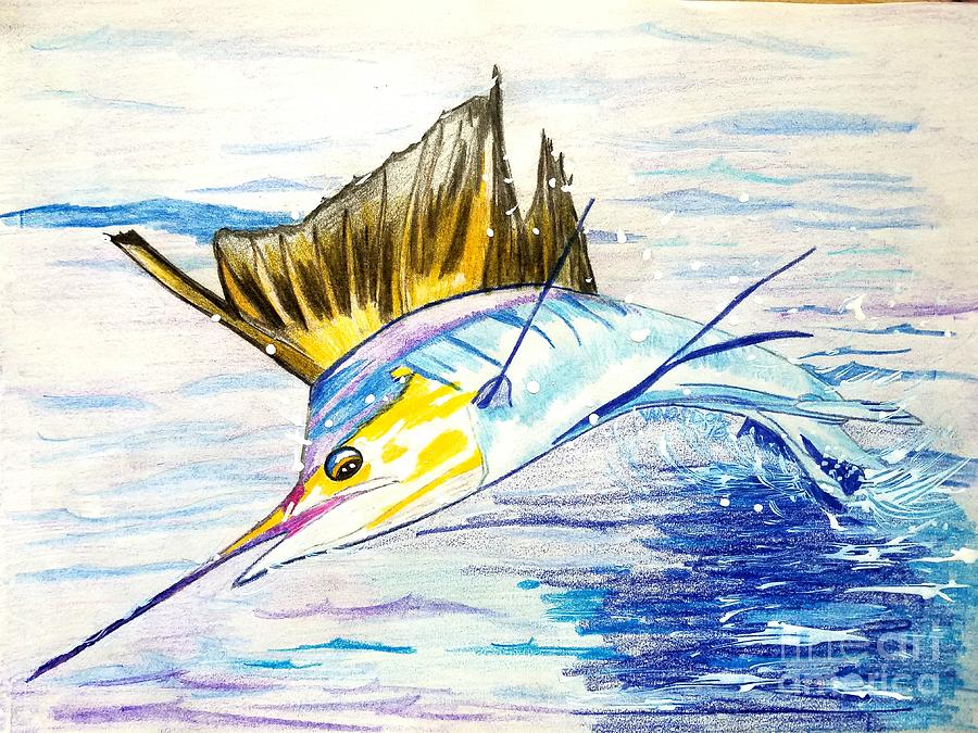 Sailfish Saltwater Fishing Drawing by Scott D Van Osdol | Fine Art America