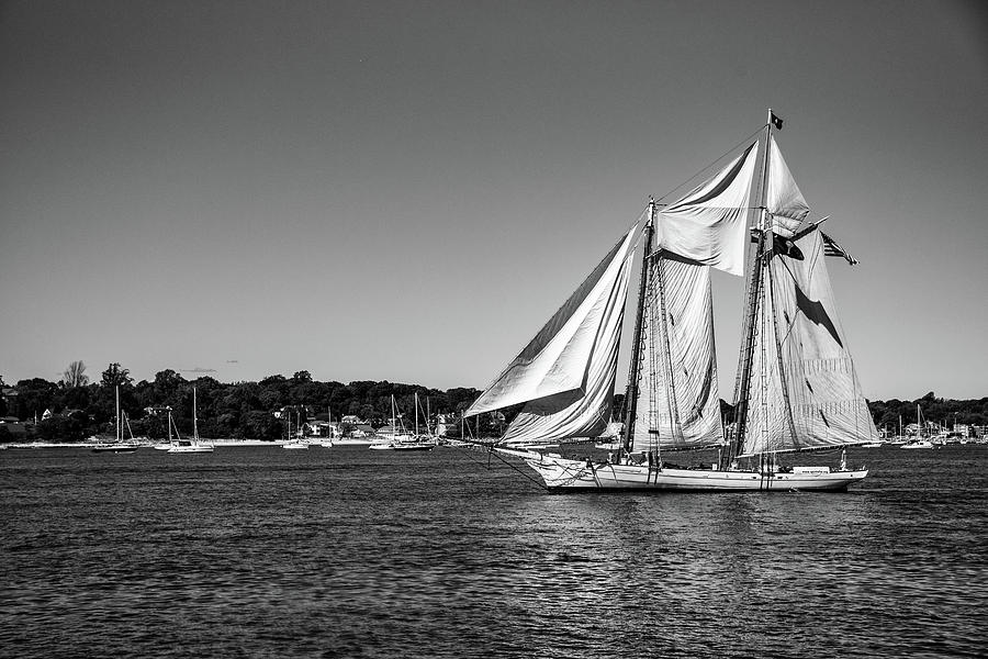Sailin Away Photograph by Roni Chastain