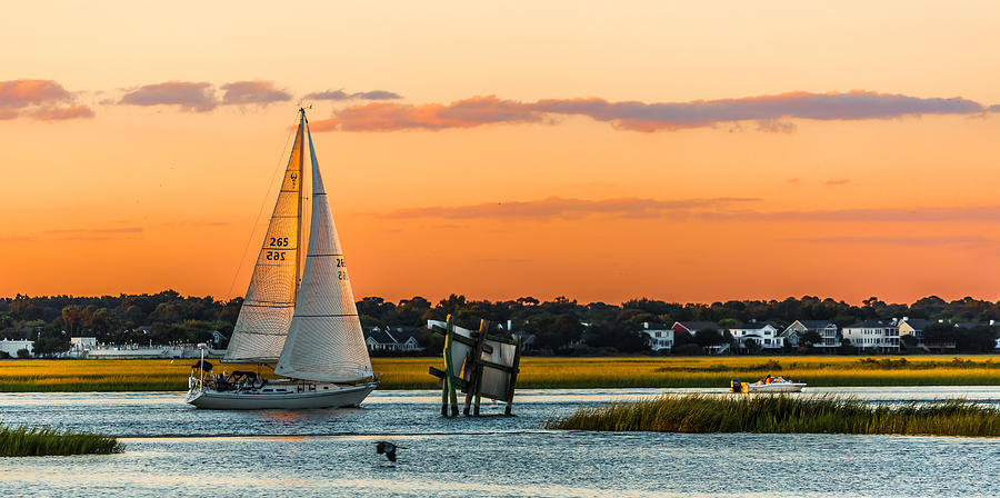Sailing Along - Sullivans Island SC Photograph by Donnie Whitaker