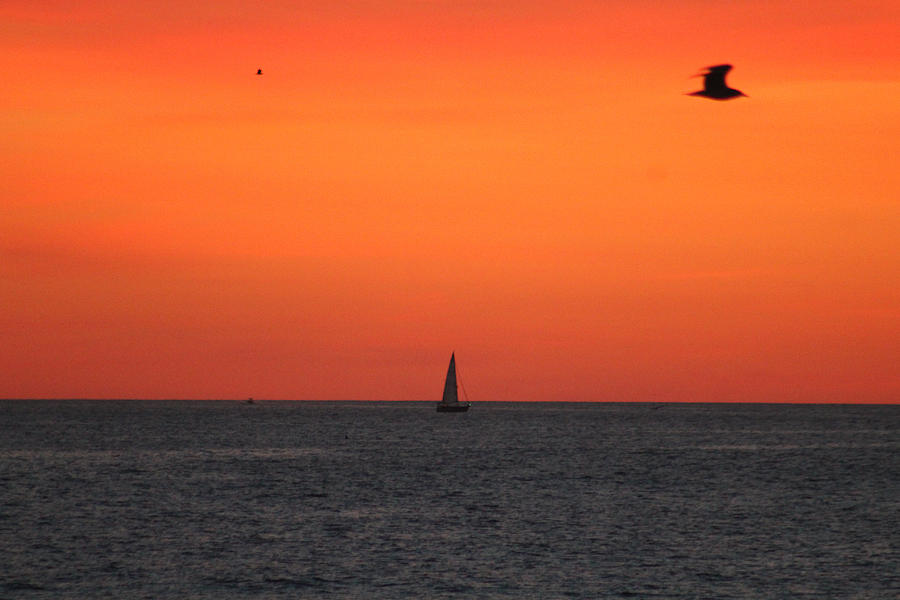 Sailing At Dawn Photograph by Robert Banach