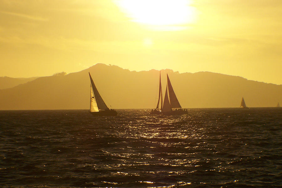 Sunset Photograph - Sailing at Sunset by Trisha Fawver