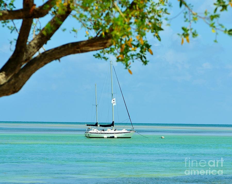 Sailing away to Key Largo Photograph by Rene Triay FineArt Photos